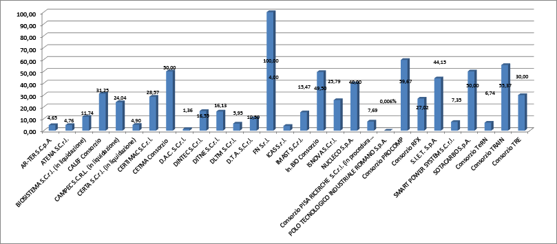 Grafico rappresentazione quote di partecipazione