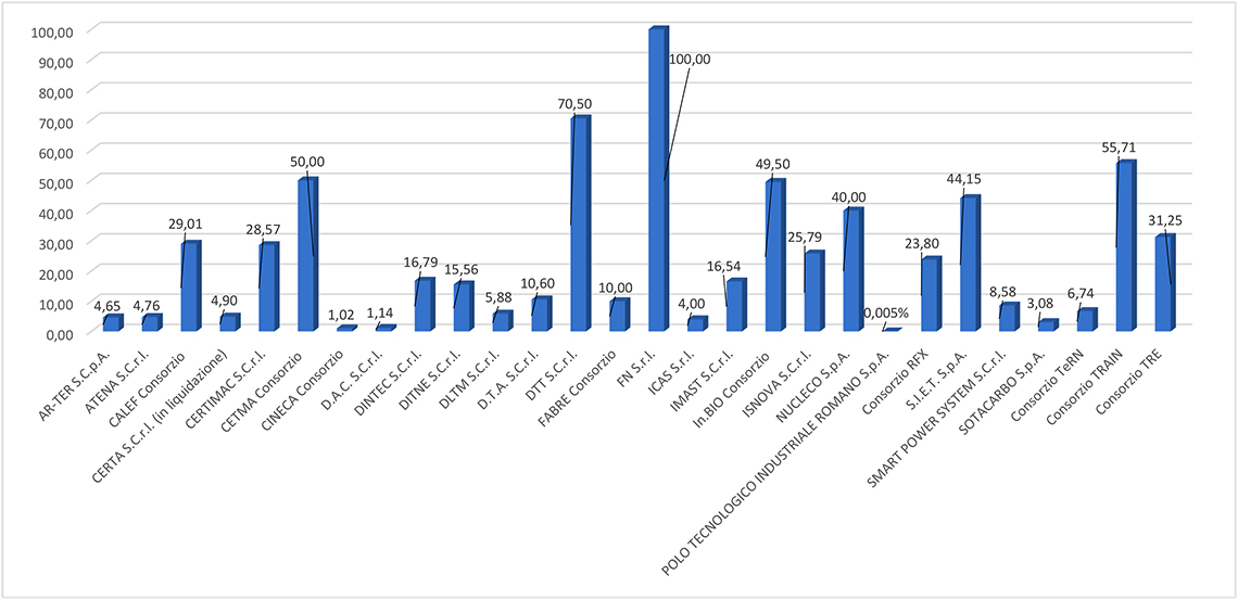 Grafico rappresentazione quote di partecipazione